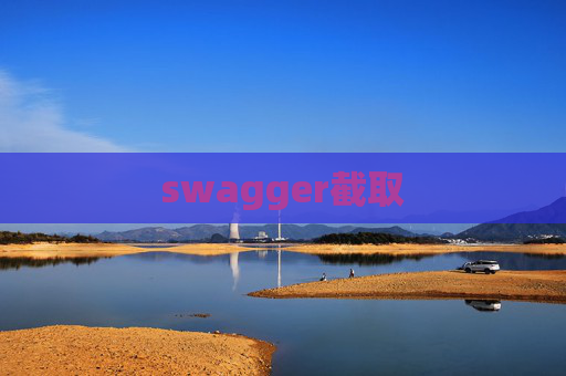 swagger截取